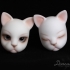 Catsy