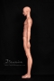 Body view