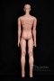 Body view