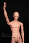 Shoulder joint