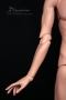 elbows