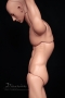 torso