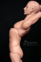 torso