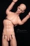 torso