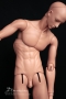 torso