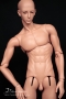 torso
