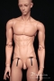 torso