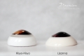 Hisyo-Hisyo vs Lizanna